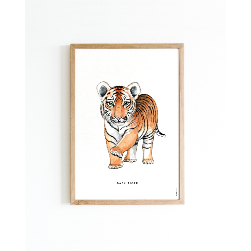 Poster Baby Tiger A4 6 st.