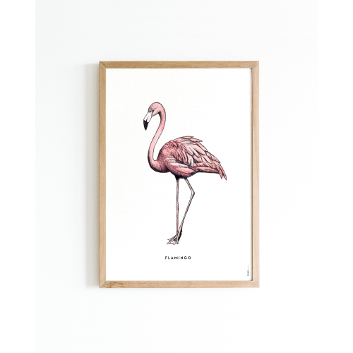 Poster Flamingo A4 6 st.