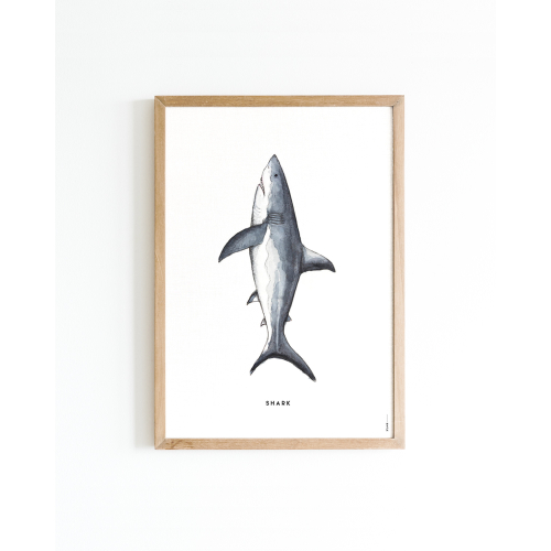 Poster Shark A4 6 st.