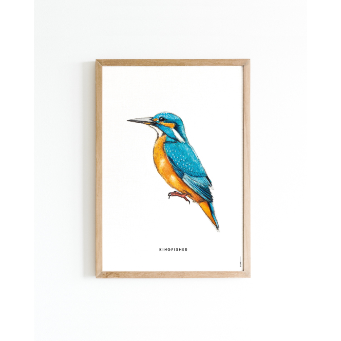 Poster IJsvogel A4 6 st.