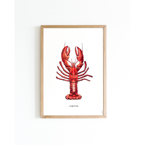 Poster Lobster 30x40 6 st.