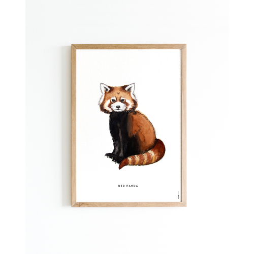 Poster Red Panda A4 6 st.