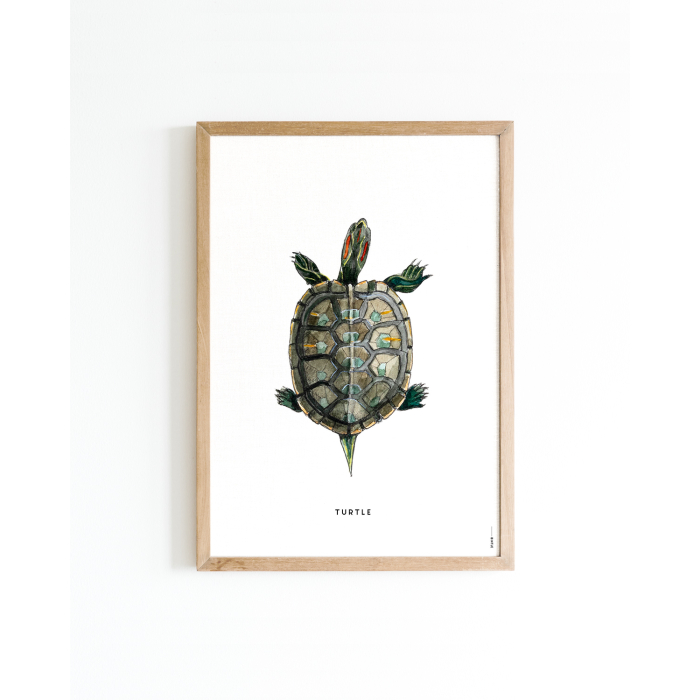 Poster Schildpad A4 6 st.