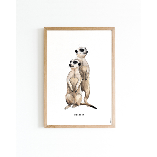 Poster Meerkat A4 6 st.