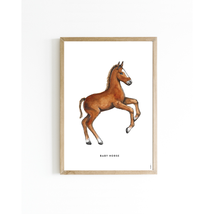 A. Mini poster Paard - veulen 15x20 6 st. A. Mini poster Paard - veulen 15x20 6 st.