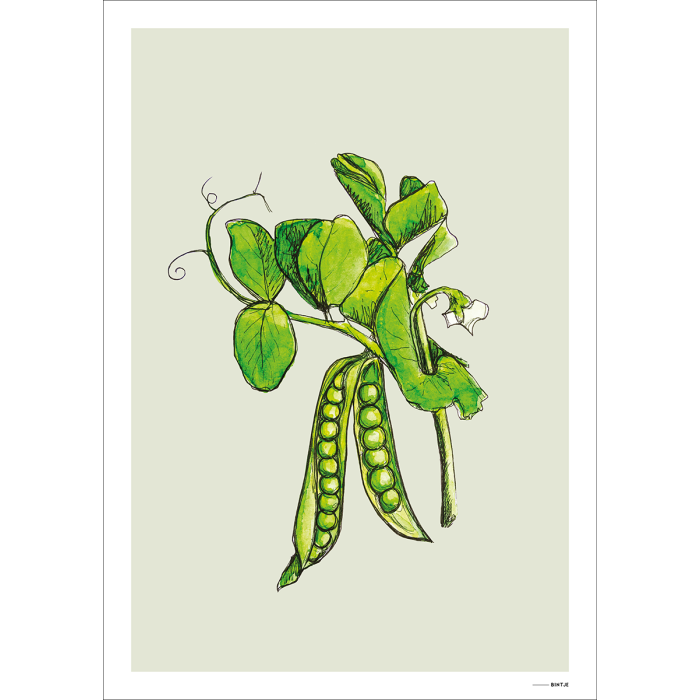 Mini poster Peas 15x20 6 st.