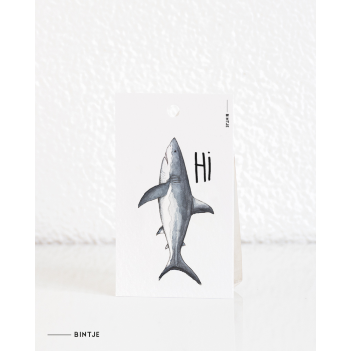 Cadeaukaartjes Haai - 20 stuks