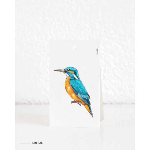 Cadeaukaartjes IJsvogel - 20 stuks