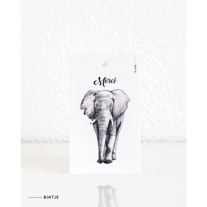 Cadeaukaartjes Olifant - 20 stuks