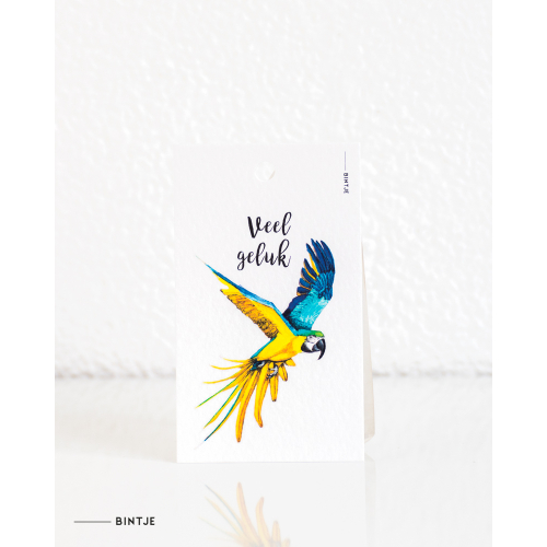 Gift tag Parrot