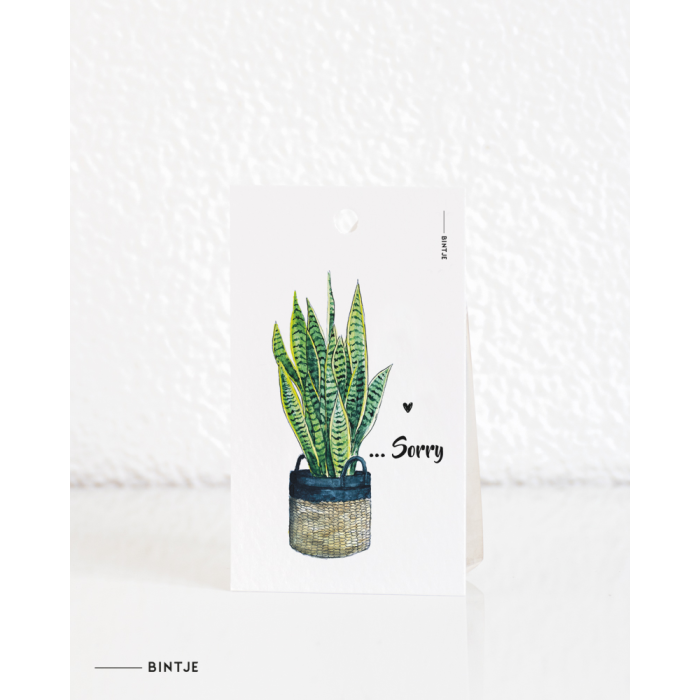 Cadeaukaartjes Plant Sorry - 20 stuks Cadeaukaartjes Plant Sorry - 20 stuks