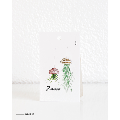 Gift tag Plant Zomaar