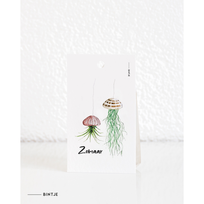 Gift tag Plant Zomaar Gift tag Plant Zomaar