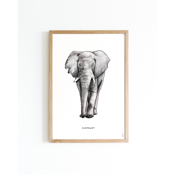 Poster Olifant 30x40 6 st.