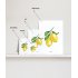 A. Mini poster Paard - veulen 15x20 6 st.