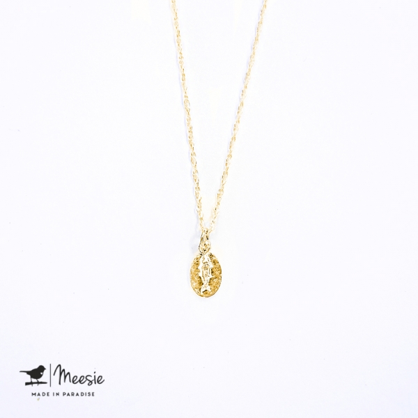 Ketting: Vis bedel goud op zilver - 3 stuks Ketting: Vis bedel goud op zilver - 3 stuks