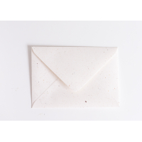 Card with seeds forgot me not - 10 pieces - Pre order