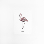 A. Kaart Flamingo 10 st.