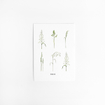 E. Kaart Gras 10 st.