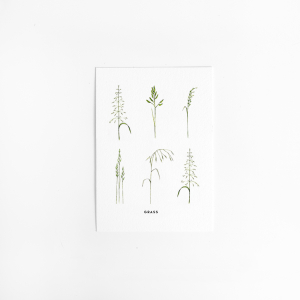 Postcard Flower Grass - 10 pieces