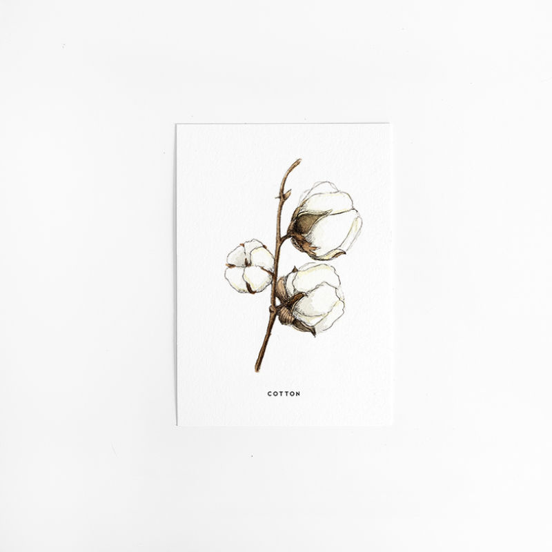 Postcard Flower Cotton - 9 pieces