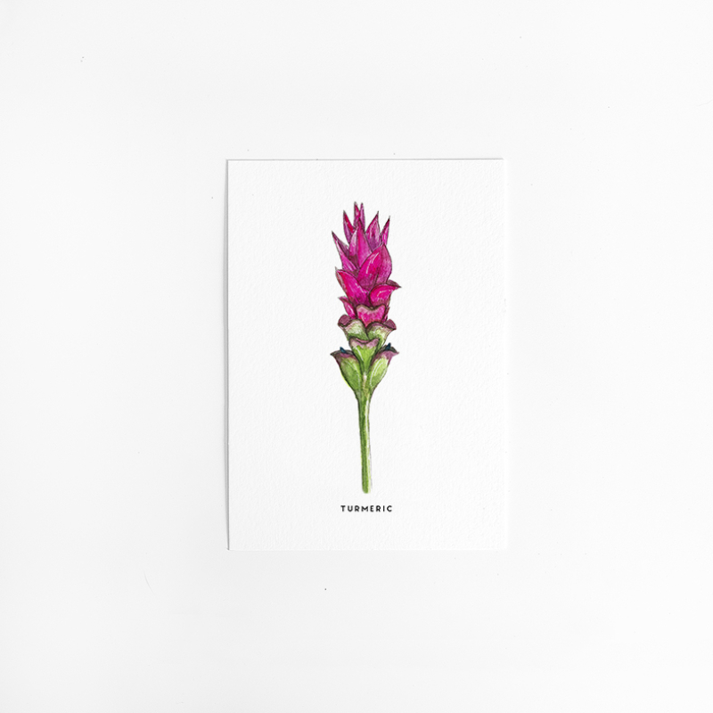 Postcard Flower Turmeric - 10 pieces