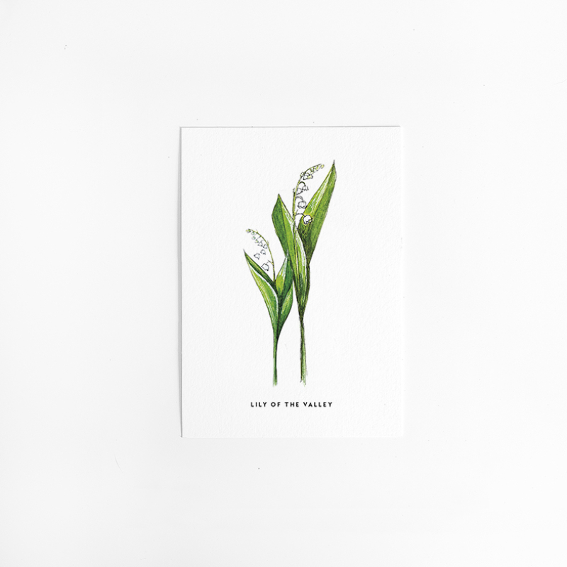 Postcard Flower Lily of the valley - 10 pieces