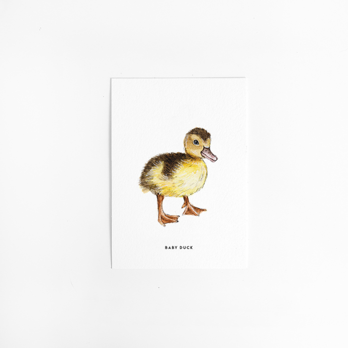 Postcard ~Baby duck - 10 pieces