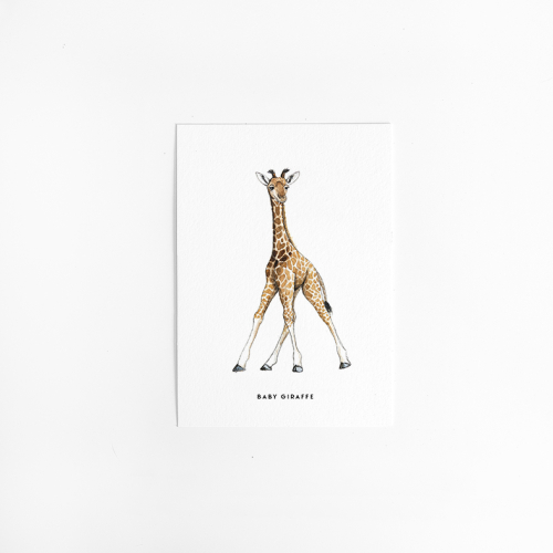 Postcard Baby Giraffe - 10 pieces