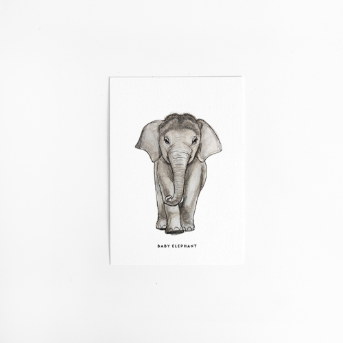 Postcard Baby Elephant - 10 pieces