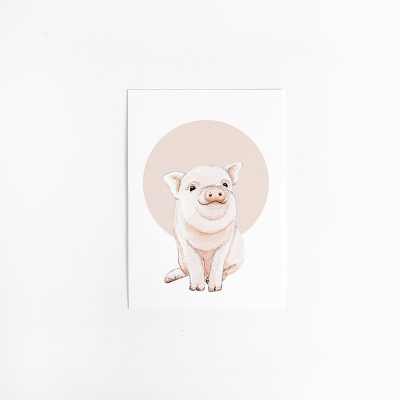 Postcard Circle Baby pig - 10 pieces