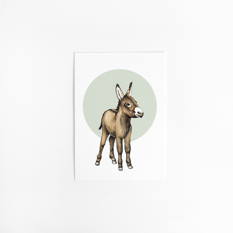 Postcard Circle  Donkey - 10 pieces