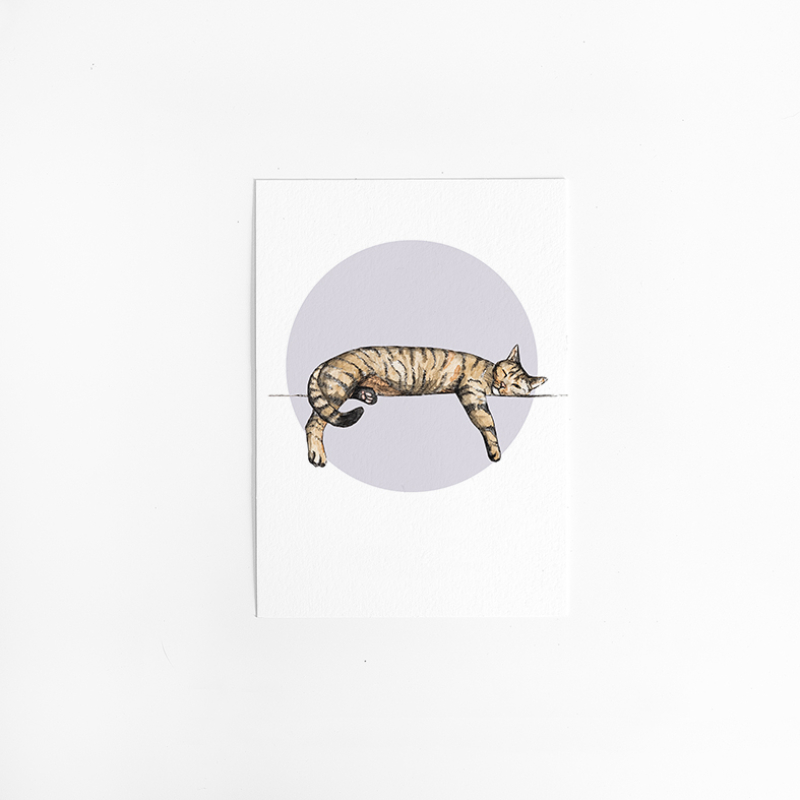 Postcard Circle Cat - 10 pieces