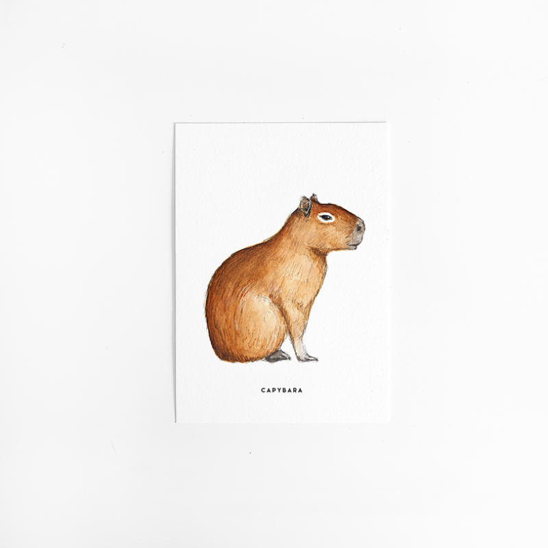 Postcard Capybara - 10 pieces
