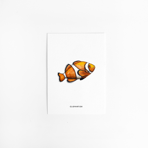 Postcard Clownfish - 10 pieces