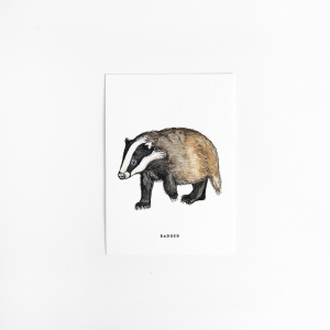 Postcard Badger - 10 pieces