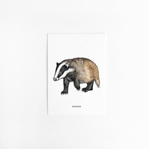 Postcard Badger - 10 pieces