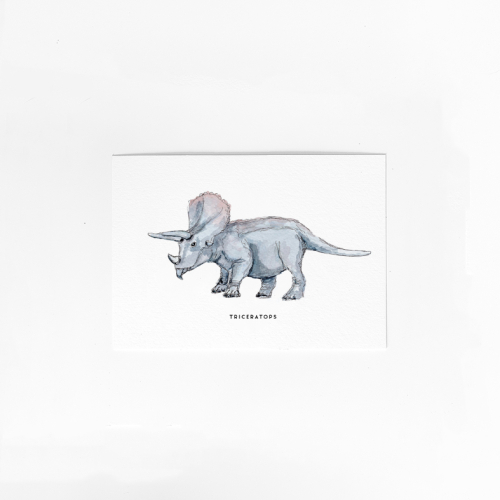 Postcard Dino Triceratops - 10 pieces