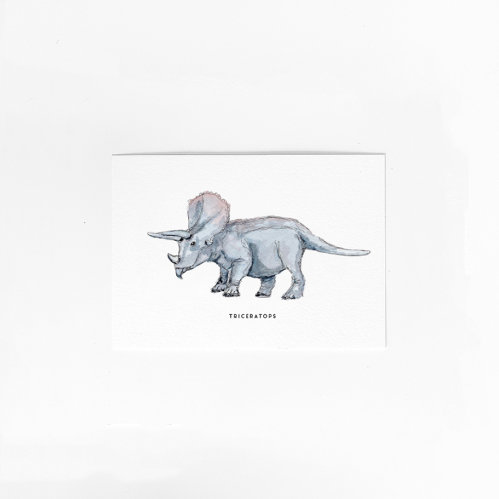 C. Kaart Dino Triceratops 10 st.