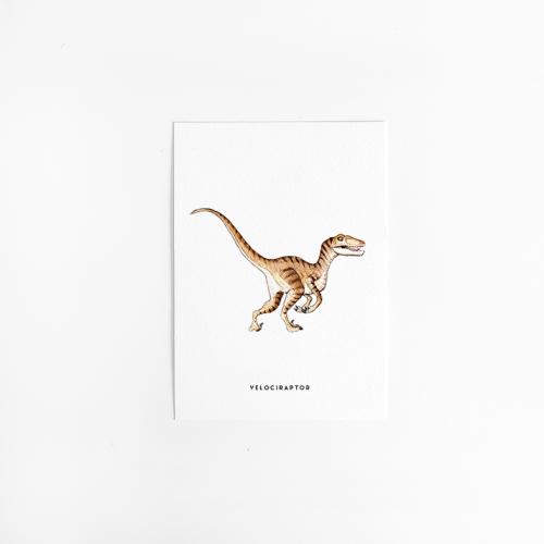 Postcard Dino Velociraptor - 10 pieces