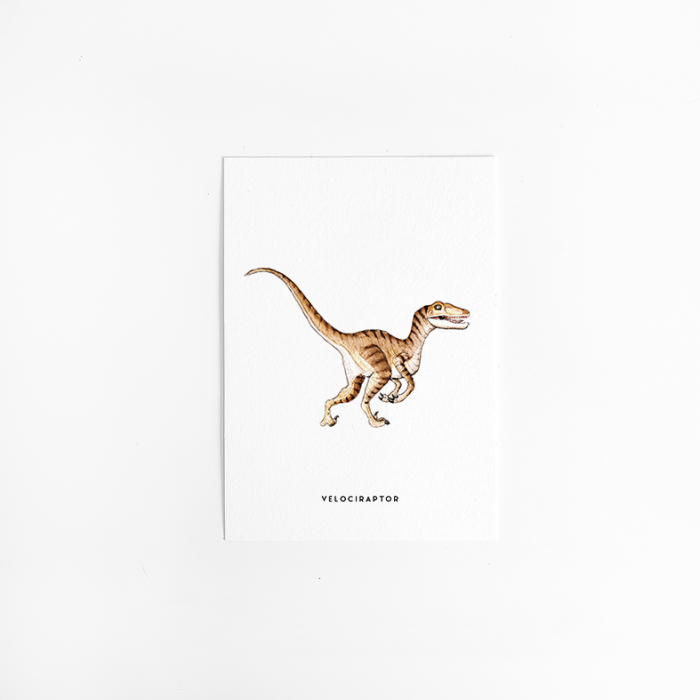 C. Kaart Dino Velociraptor 10 st.