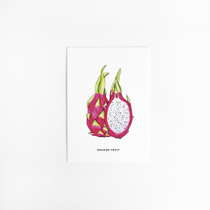 Postcard Dragonfruit - 10 pieces