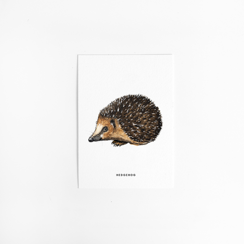 Postcard Hedgehog - 10 pieces
