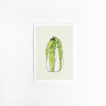 G. Kaart Food Chinese kool 10 st.