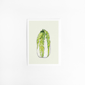 Postcard Food Cabbage - 10 pieces