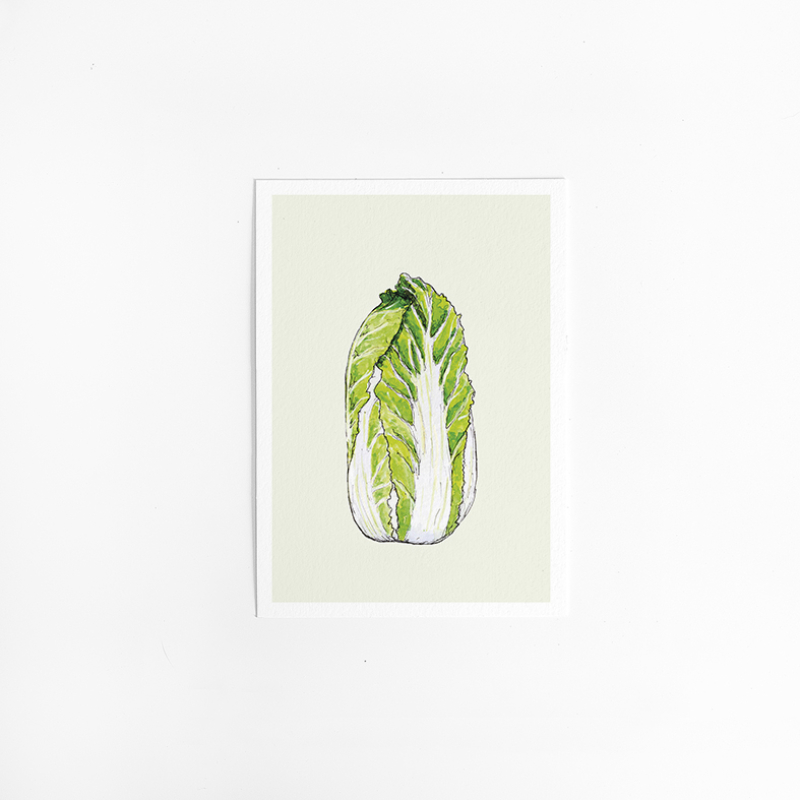 Postcard Food Cabbage - 10 pieces