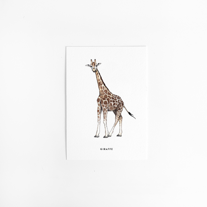 A. Kaart Giraf 10 st.