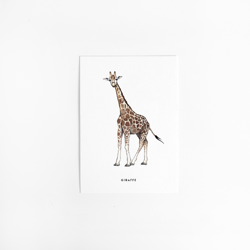 Postcard giraffe - 10 pieces