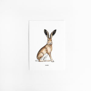Postcard Hare - 10 pieces