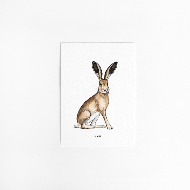 Postcard Hare - 10 pieces